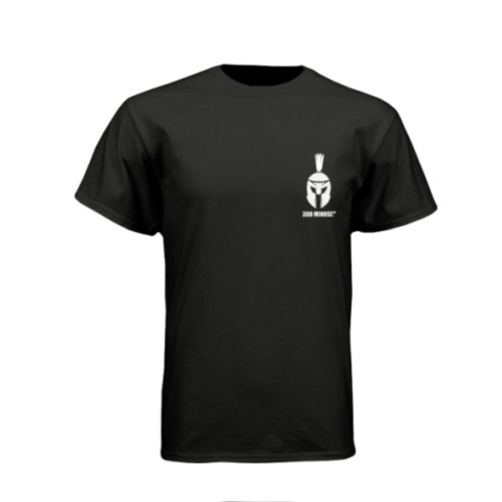 300 NEXT LEVEL T-SHIRTS