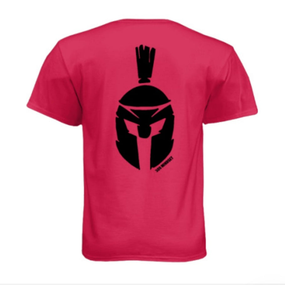 300 NEXT LEVEL T-SHIRTS