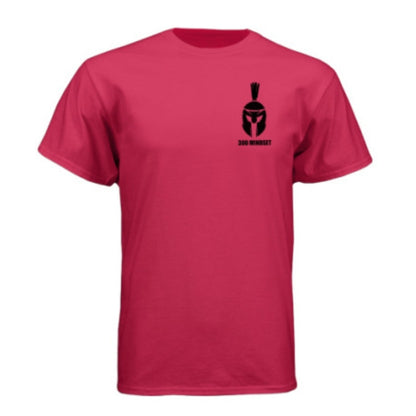 300 NEXT LEVEL T-SHIRTS