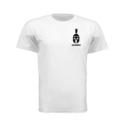 300 NEXT LEVEL T-SHIRTS